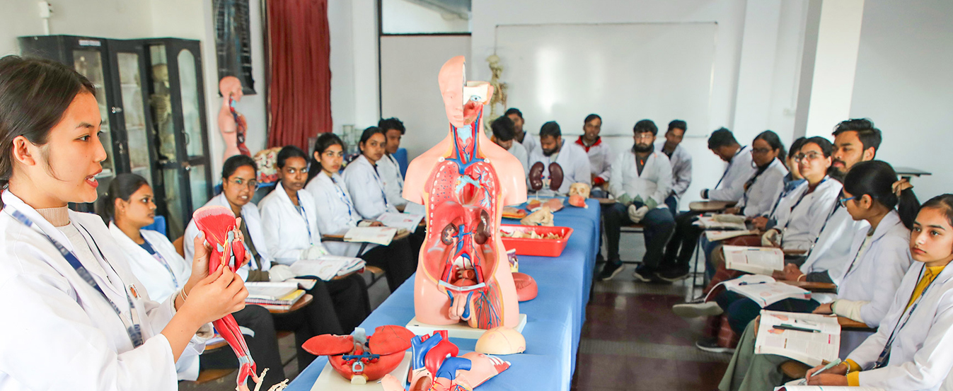 Uttar Pradesh Nurses and Midwives Council